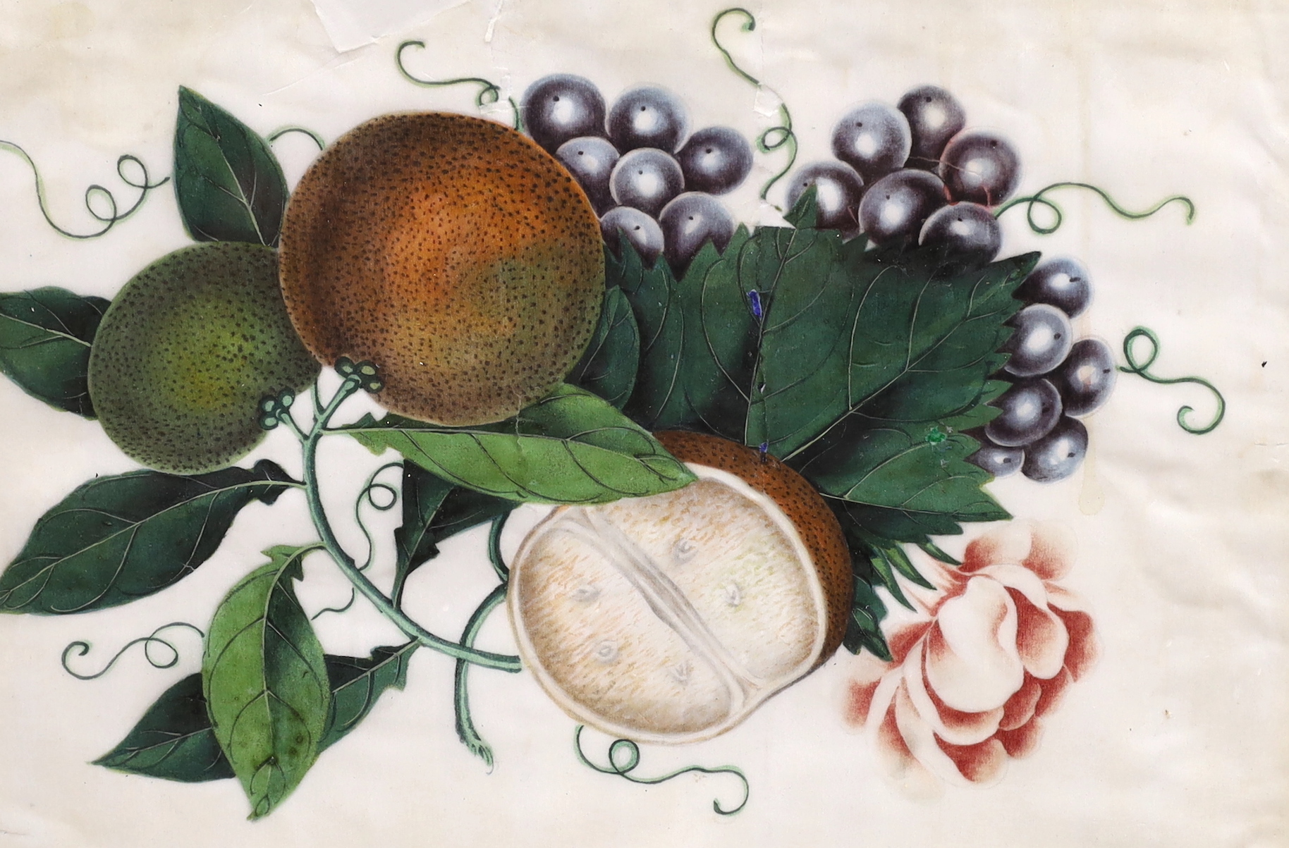 19th century Chinese School, pair of pith paper paintings, Still lifes of fruit, each 17 x 26cm